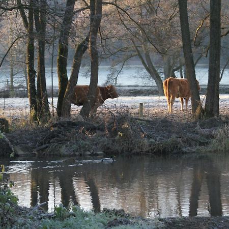Le Gite De L Ourthe Ortheuville エクステリア 写真