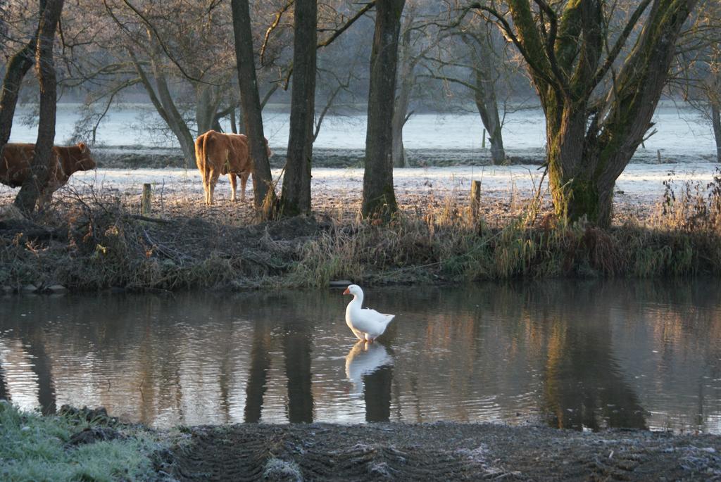 Le Gite De L Ourthe Ortheuville エクステリア 写真