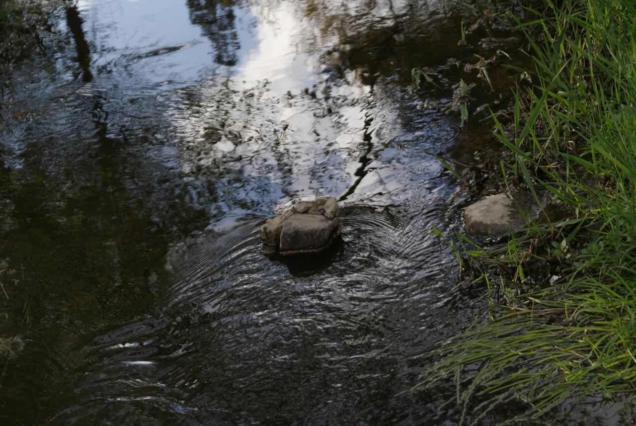 Le Gite De L Ourthe Ortheuville エクステリア 写真